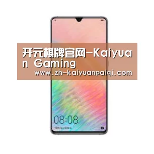 华为HUAWEI NOTE 8