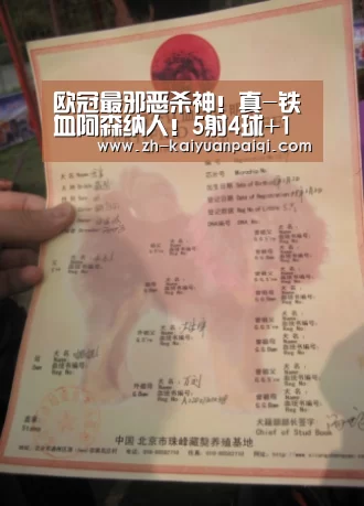 欧冠最邪恶杀神!真-铁血阿森纳人!5射4球+1助攻+4抢断刷爆纪录-开元牌棋(图1) 开元牌棋