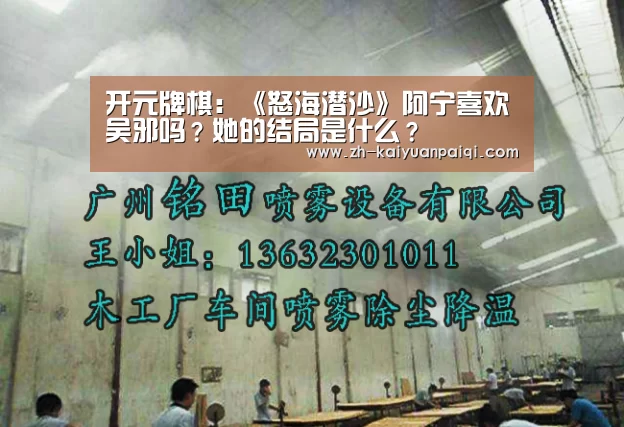 开元牌棋：《怒海潜沙》阿宁喜欢吴邪吗？她的结局是什么？